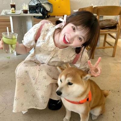你好喵室友